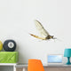 Mayfly, Ephemera danica, in front of white background Wall Decal
