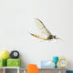Mayfly, Ephemera danica, in front of white background Wall Decal