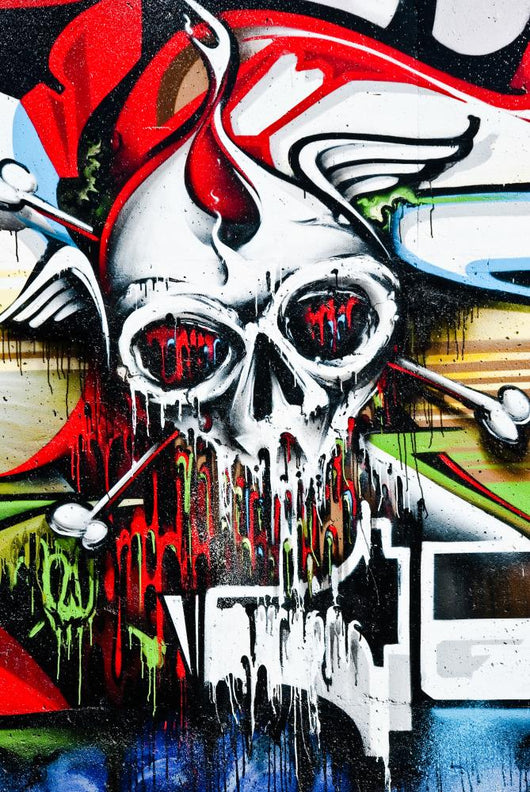 Skull on the Wall Wall Mural