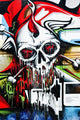 Skull on the Wall Wall Mural