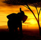 african spirit ii Wall Mural