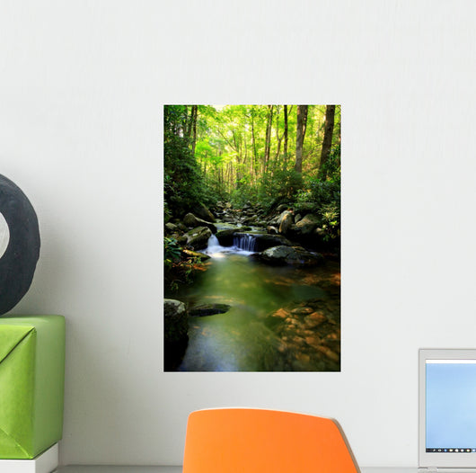 Lush Green Small Waterfall