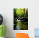 Lush Green Small Waterfall