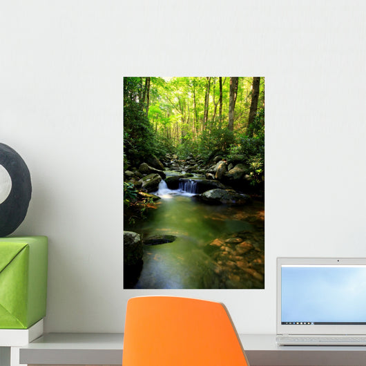 Lush Green Small Waterfall