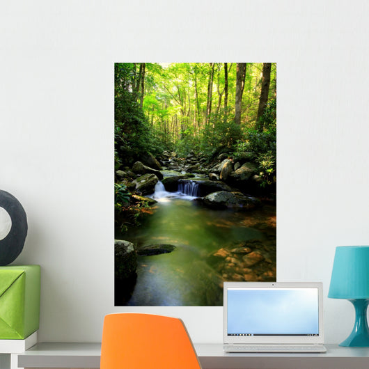 Lush Green Small Waterfall
