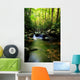 Lush Green Small Waterfall