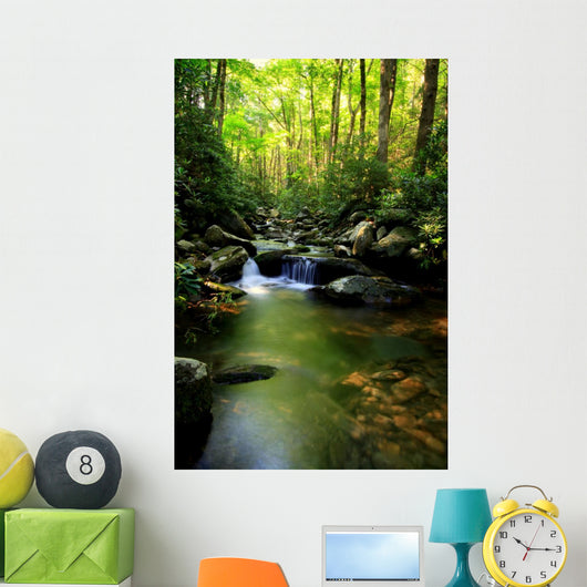 Lush Green Small Waterfall