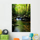 Lush Green Small Waterfall