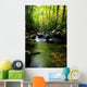 Lush Green Small Waterfall