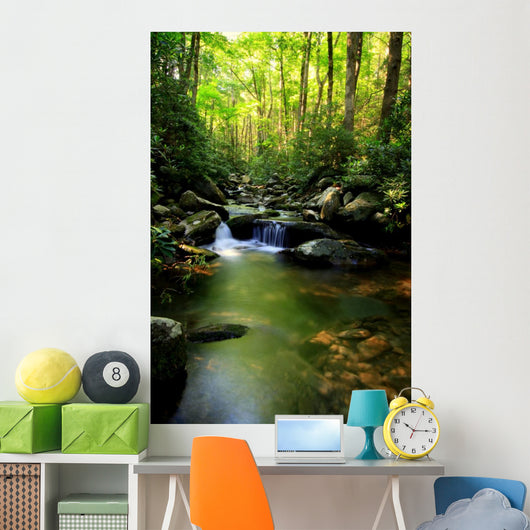 Lush Green Small Waterfall