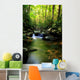 Lush Green Small Waterfall
