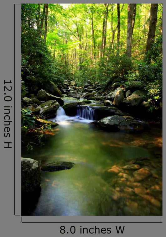 Lush Green Small Waterfall