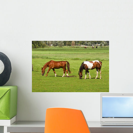 Two Horses Grazing Grassland Wall Mural