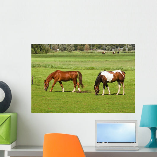 Two Horses Grazing Grassland Wall Mural