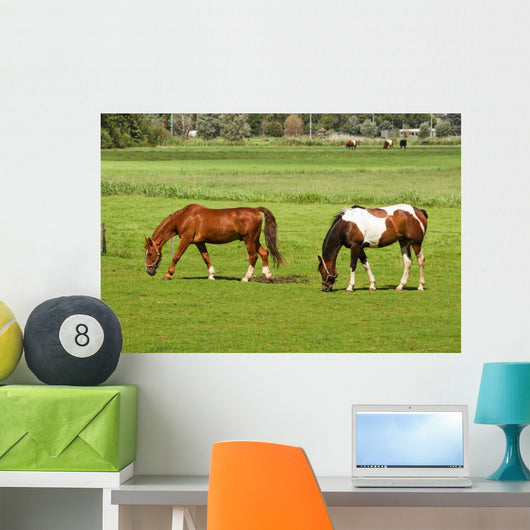 Two Horses Grazing Grassland Wall Mural
