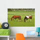 Two Horses Grazing Grassland Wall Mural