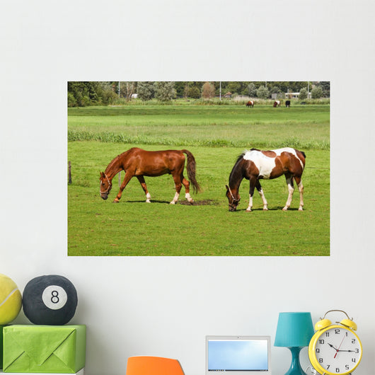 Two Horses Grazing Grassland Wall Mural