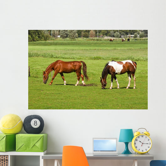 Two Horses Grazing Grassland Wall Mural
