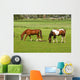 Two Horses Grazing Grassland Wall Mural
