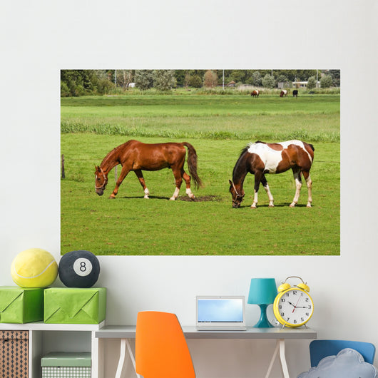 Two Horses Grazing Grassland Wall Mural