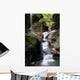 Rainbow Falls Wall Decal