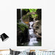 Rainbow Falls Wall Decal