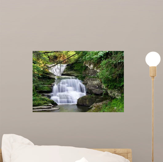 Rainbow Falls Wall Mural