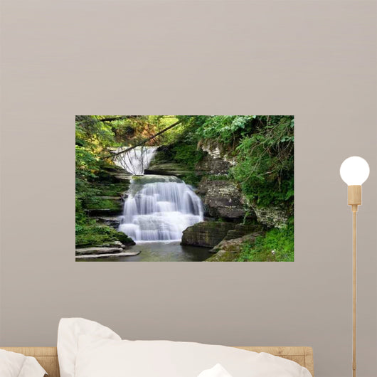 Rainbow Falls Wall Mural
