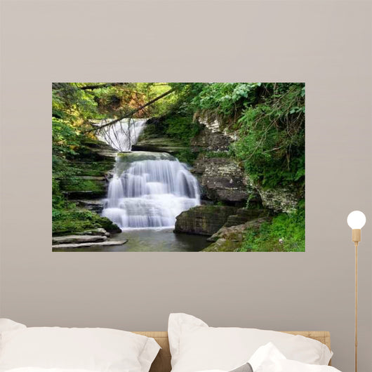 Rainbow Falls Wall Mural