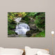 Rainbow Falls Wall Mural