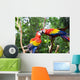 Love Parrot Wall Mural