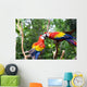 Love Parrot Wall Mural