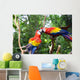 Love Parrot Wall Mural