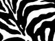 Abstract Zebra Print Wall Decal