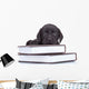 Smart Little Labrador Wall Decal