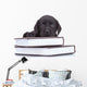 Smart Little Labrador Wall Decal