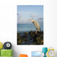 Portrait Maldivian Gray Heron Wall Mural