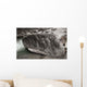 Felsbrocken im Fluss Schwarz-weiss Wall Decal