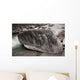 Felsbrocken im Fluss Schwarz-weiss Wall Decal