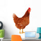 Brown Hen 2 Wall Decal