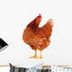 Brown Hen 1 Wall Decal