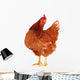 Brown Hen 1 Wall Decal