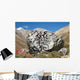 Moosfelsen Wall Decal