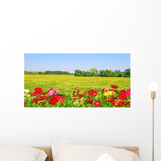 Colorful Flower Field Wall Decal