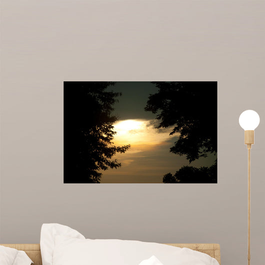 Beautiful Sunset