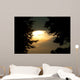 Beautiful Sunset