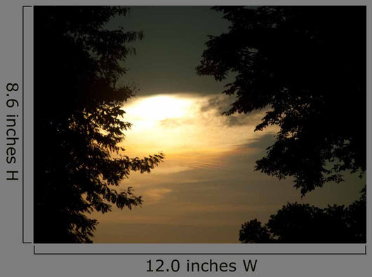Beautiful Sunset