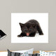 Angry Black Kitten Wall Decal