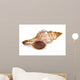Close-up Sea Shell White Wall Decal