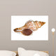 Close-up Sea Shell White Wall Decal
